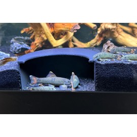 LifeWithPets Aquarium Underground Tunnel | Fish Cave | Fish Hide | Perfect for Corydoras. Plecos, Loaches, Cichilds, Betta Fish and More (Medium)