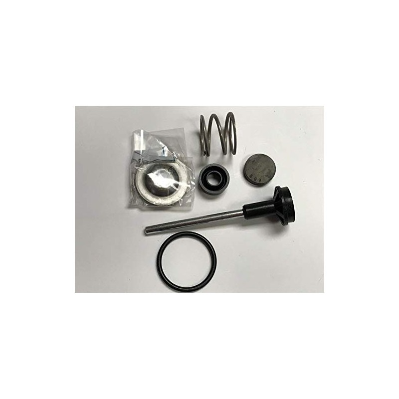 Hypro 9910-KIT1757 Regulator Repair Kit for 9910-GS40GI Regulator