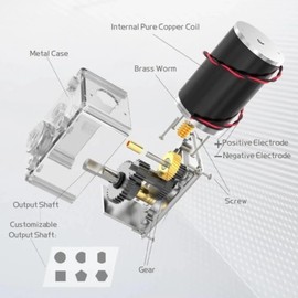 Reversible Worm Gear Motor, Self-Locking High Torsion Speed Reduce Electric Gearbox Motor Mini Turbine Geared Motor for Robot Curtain Machine (12V 50RPM)