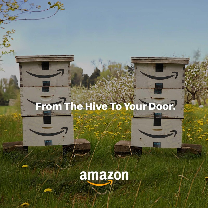 HoneyPlusCo | 100% Natural Honey Sticks - Green Apple (Flavored)