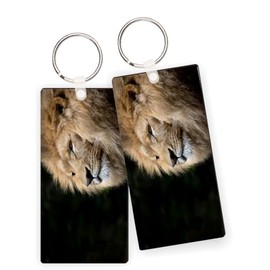 Island Gifting - Lion King on Black Background - Keychains Key Chains Keytags - Set of 12