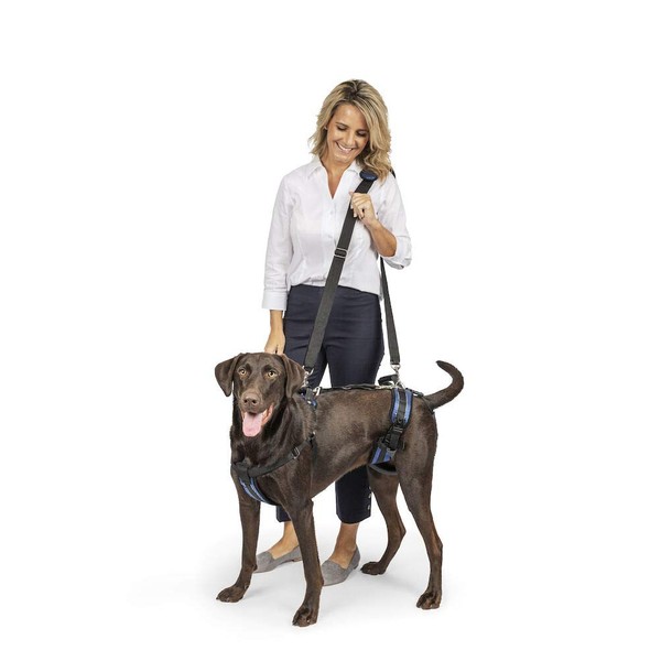 PetSafe CareLift Support Harness - Full Body Dog Lift Harness with Handle & Shoulder Sling - Great for Elderly Dogs, Hip Dysplasia, ACL Surgery - Designed to Help Them Up - Adjustable - Large