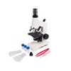 Celestron 44121 Beginner's Microscope Kit, 40x-600x Magnification, White