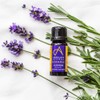 Absolute Aromas Top 3 Organic Essential Oils Pack - Set