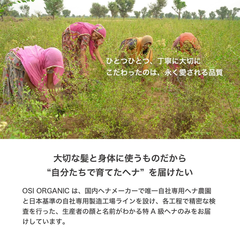 OSI ORGANIC Halal Henna ハラールヘナ HALAL HENNA with Instructions Organic