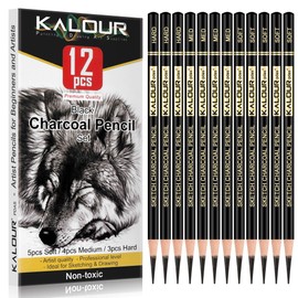 KALOUR Professional Charcoal Pencils Drawing Set -12 Pieces Soft, Medium and Hard Charcoal Pencils for Drawing, Sketching, Shading, Artist Pencils for Beginners & Artists
