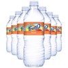 Fruit2o Peach Flavored Water, 16.9 fl oz Plastic Bottles (24