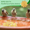 Saillong 4 Pack Bird Bath Copper Disk, Reinforced 99.99% Pure