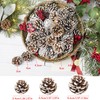 Pine Cone Christmas Tree Decorations, POTWPOT 20Pcs Snow Pine Cones
