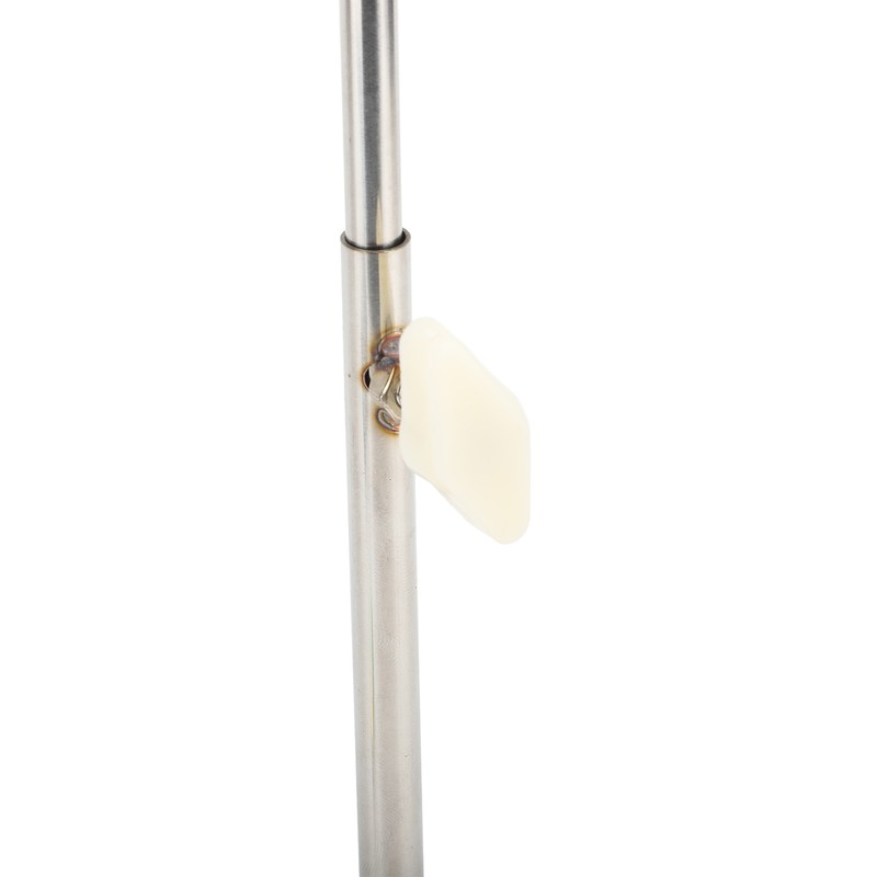 Female Mannequin Torso High Temperature Resistant Height Adjustable Female Mannequin