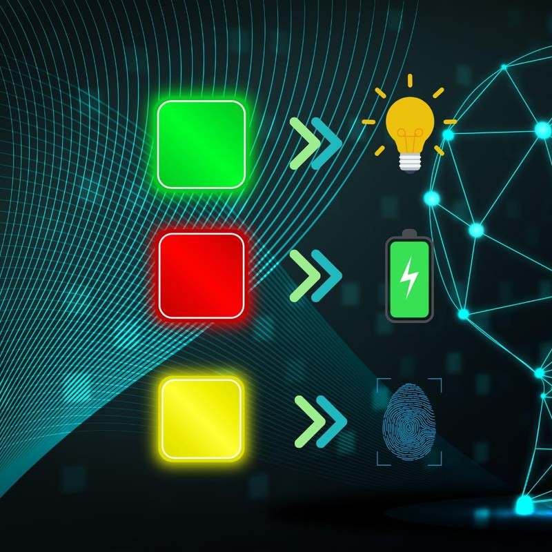 GEI Black Biometric Fingerprint Pocket Lighter 1 pk - Case