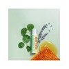 Burt's Bees Rescue Ointment Cica Stick / 버츠비 레스큐오인트먼트 시카 스틱