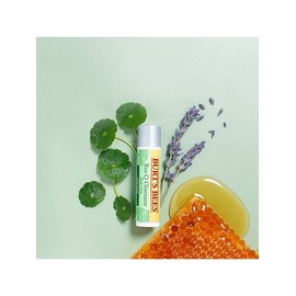 Burt's Bees Rescue Ointment Cica Stick / 버츠비 레스큐오인트먼트 시카 스틱