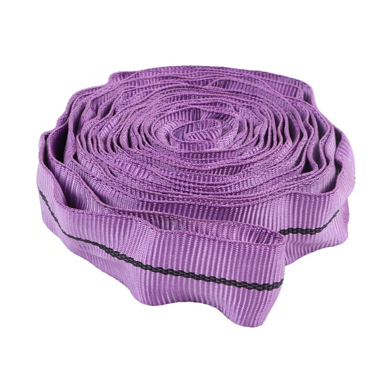 Lifting Sling Hoist Webbing 1T Polyester Rigging Strap Purple for