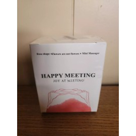 Rose Shaped Mini Massager for Women Happy Meeting Joy At Meeting Red Sealed