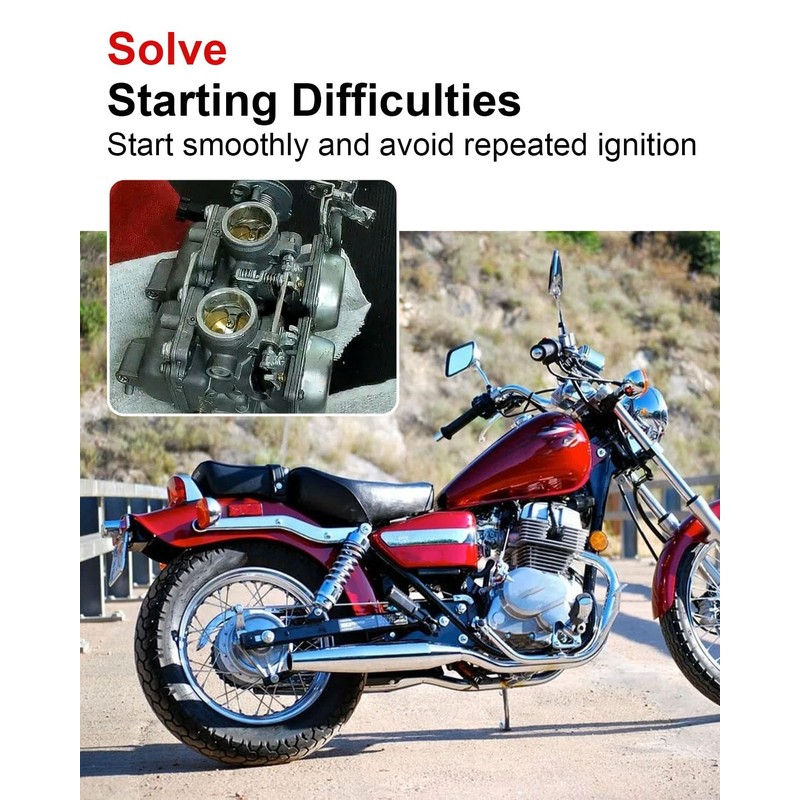 Carburetor Rebuild Repair Kits, Single Carburetor Version with Plunger Assembly