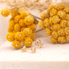 Carissima Gold Women's Earrings 375 Yellow Gold Cubic Zirconia, 9ct Gold, Cubic Zirconia