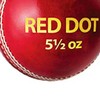 DSC Red Dot Leather Cricket Ball (Red)| Water Proofed Leather