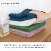 Bloom Imabari Towel Leon Face Towel Set of 3 San