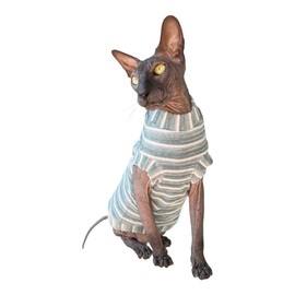 Kotomoda Cat's T-Shirt Cord Mint Striped for Sphynx and Naked Cats (M)