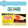 腱鞘サポーター 着圧磁気 メッシュタイプ 手首 磁気治療器 管理医療機器 男女兼用 着圧サポーター 血行サポート メッシュ素材