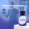 Creatina | Creatina Monohidratada 100% Pura | Pre Entreno, Rendimiento