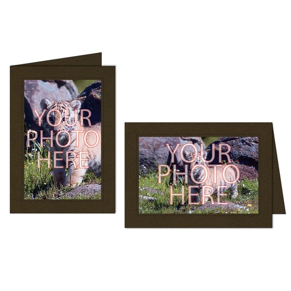 Photographer's Edge, Photo Insert Card, Chocolate with Black Border, Set of 10 for 4x6 Photos