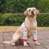 Harikaji Dog Elbow Protector, Elbow Sleeves with Mesh Pad for