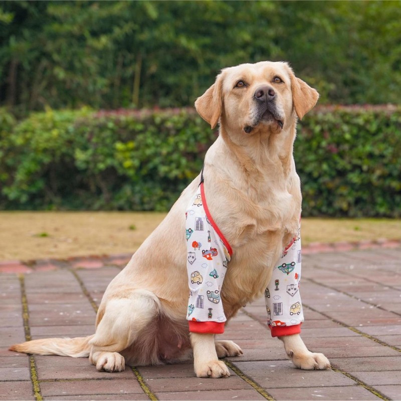 Harikaji Dog Elbow Protector, Elbow Sleeves with Mesh Pad for