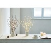 Fudios Lighted Branches with Timer Battery 70 Warm White LED