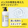 GATSBY Perfect Body Wash, Moisturizing, Botanical (Men's Body Soap, Body