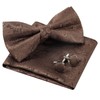 Alizeal Mens Gradient Paisley Bow Tie Pre Tied Pocket Square