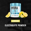 Jacked Factory HYDRASURGE Electrolyte Powder - Hydration Supplement w/Key Minerals,