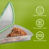 MyGo Container Pizza Slice To-Go Compartment Container, 9-1/4" X 8-1/4"