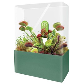 Unique Gardener Grow Your Own Venus Fly Trap, Complete Adults Square Terrarium Starter Kit to Plant Fascinating Man Eating Fly Traps, Includes All Supplies for Indoor Flytrap Terrariums