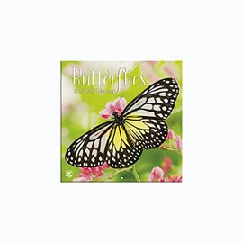 Turner Photographic Butterflies Photo Mini Wall Calendar (24998950054)