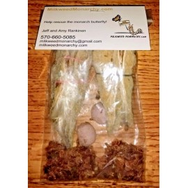 Milkweed Monarchy Common Milkweed Sampler, Pods, Seeds & Seed Balls 2024 Crop 76% Germination Rate