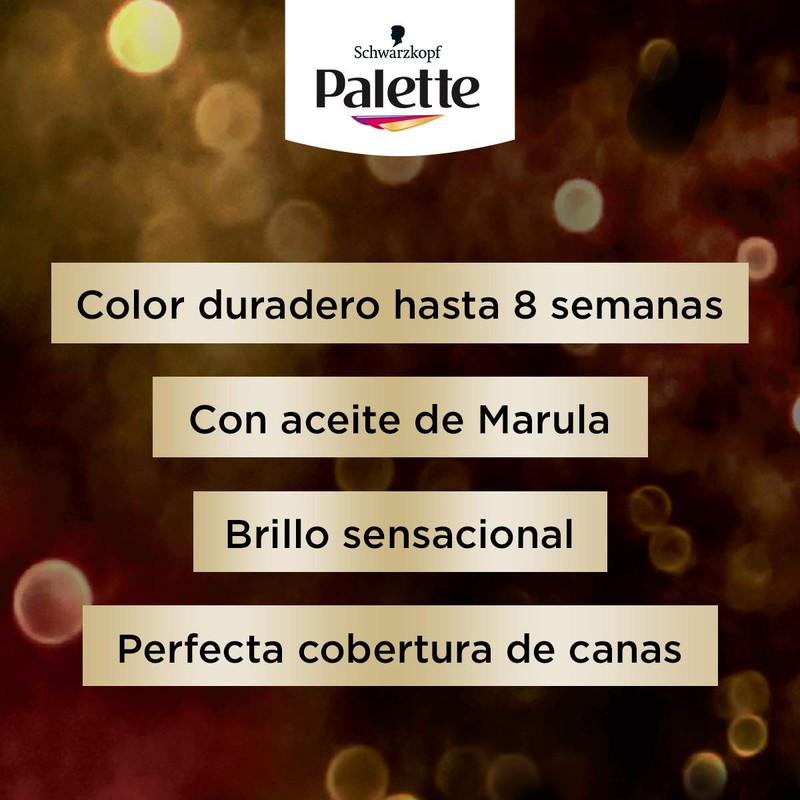 Pallet Icc 5.68Castañoroj Es
