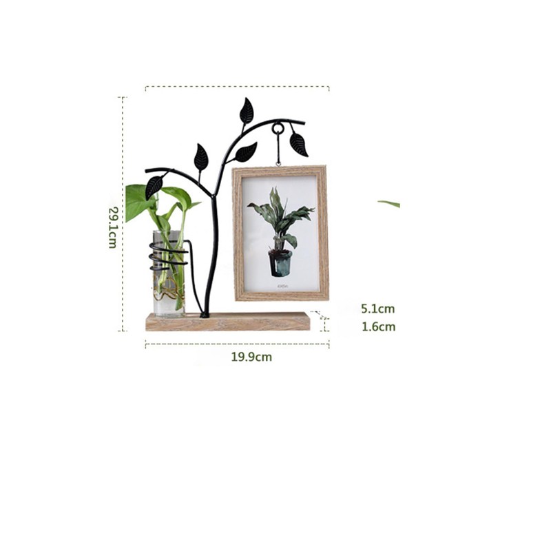 6-Inch Iron Art Hydroponic Photo Frame - Double-Sided 4x6 Glass
