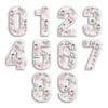 2 x 15cm Tall Floral Birds Number Vinyl Stickers -
