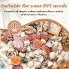 Griwuut 16 Kinds Natural Sea Shell, Mixed Ocean Shells Set