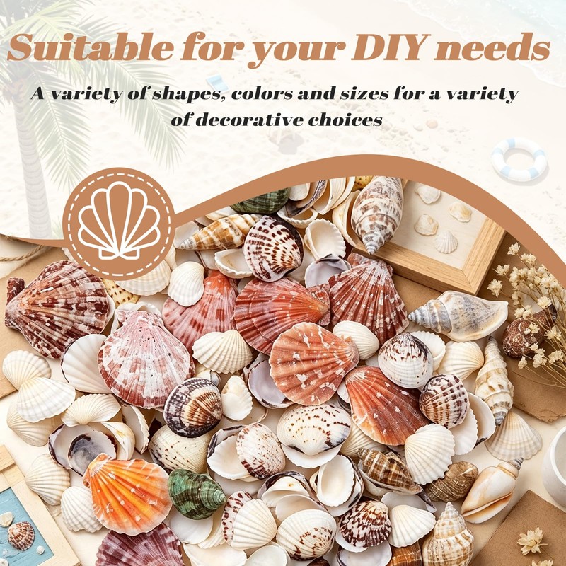 Griwuut 16 Kinds Natural Sea Shell, Mixed Ocean Shells Set