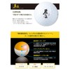 WORKS GOLF Hayabusa Yellow Label 2025 Model Yellow