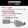 Kasco Dolphin Wedge DW-123 HEAD 60