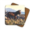 Donkey Drinks Coasters by Wildlife Artist Julian Friers - Set