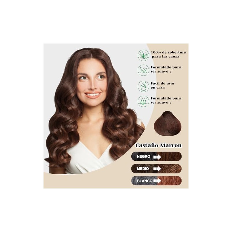 Champú para Teñir el Cabello,Champú para Cubrir Las Canas 500ml