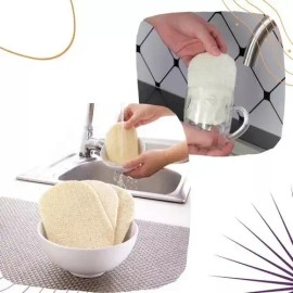 Set Cepillo Corporal Facial Y Esponja Pulpa De Madera Exfo F                                                                                          