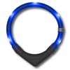 LEUCHTIE® Light Collar Plus I LED Collar for Dogs I