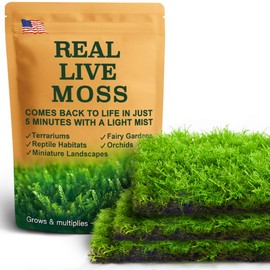 Live Moss – Thuidium Moss (3 Sheets, Each Approx. 3.5"x7") for Terrariums, Bonsai, Plant Decor & Natural Crafts – Naturally Grown, Reusable, Not Artificial