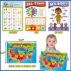 Gifts2U Kids Teacher Play Sets, Pretend Play School Teacher Plays